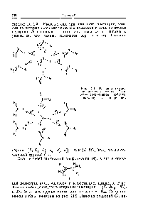 Рис. 13.1. <a href="/info/1856142">Операции симметрии молекулы аммиака</a>. Сверху — перспективное изображение, снизу — плоская проекция.