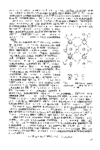 Рис. 7. <a href="/info/2548">Кристаллическая структура</a> окситрихлорида ниобия.