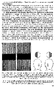 Рис. 47. Вид зрительного стимула, применяемого для исследований вызванных <a href="/info/18863">магнитных полей</a> мозга. Слева показаны решетки с пространственной частотой, отличающейся в два раза. Справа показано изменение решетки в <a href="/info/430746">методе обращения</a> контраста, когда за полупериод <a href="/info/1413700">светлая полоса</a> меняется на темную и наоборот, тем самым