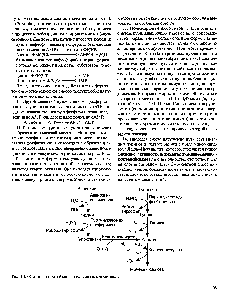 Рис. 10.2. <a href="/info/98900">Образование мочевой кислоты</a> из пуриновых нуклеозидов.