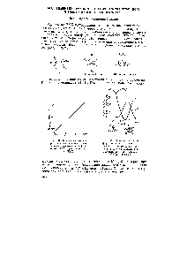 Рис. 99. Зависимость кон-формационной <a href="/info/2899">энергии молекулы</a> пронионового альдегида от угла вращения ф, рассчитанная по методам СК00/2 и РМХ