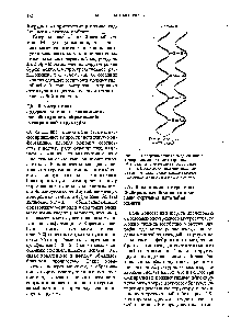 Рис. 7-8. <a href="/info/301620">Поперечные связи</a> между соседними -спиральными витками а-кератина обусловлены присутствием в них остатков цистина. В твердых кератинах, например в кератине панцыря черепахи, цистиновые <a href="/info/301620">поперечные связи</a> весьма многочисленны.