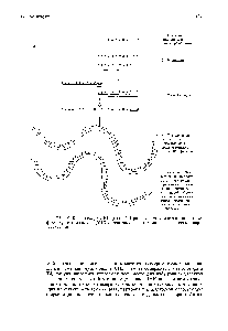 Рис. 7.19. А. Конкатемеры ДНК фага Т4. При упаковке в головки фага из них формируются молекулы ДНК с <a href="/info/33238">концевыми повторами</a> и циклическими перестановками.