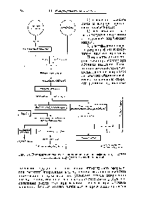 Рис. 30. <a href="/info/1546871">Принципиальная схема получения</a> нитропарафинов парофазным нитрованием парафинов азотной кислотой