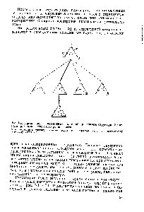 Рис. 1-5. Пример дерева возможных состояний при <a href="/info/332457">синтезе структурной матрицы</a> <a href="/info/291680">трехкомпонентной азеотропной</a> смеси 