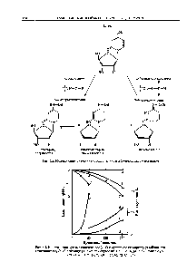 Рис. 6.2. Модификация цитозина гидроксиламином и 0-метилгидроксиламином