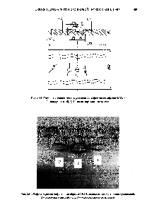 Рис. 6.14. Дефектограмма дефектов на образце МО-1, <a href="/info/1893602">выявленных магнитной</a> суспензией 