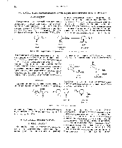 Фиг. 119. Образование гигриновой кислоты и стахидрина из пролина.