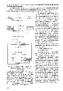 Рис. 20.7. Схема <a href="/info/1320858">регуляторных механизмов</a> <a href="/info/1463494">ряда процессов</a> <a href="/info/1302637">углеводного обмена</a> <a href="/info/1859601">млекопитающих реакции</a> катаболизма (гликогенолиз, гликолиз, <a href="/info/187911">окислительное декарбоксилирование пирувата</a>, цикл ТКК) — сплошные <a href="/info/250473">линии реакции</a> анаболизма (глюконеогенез, синтез гликогена) — пунктирные линии. <a href="/info/96997">Активация ферментов</a> (+) ингибирование (-). Главные <a href="/info/567187">регуляторные ферменты</a> (Т) — гликогенфосфорилаза ( ) — фосфофруктокиназа (з) — пируватдекарбоксилаза (7)— изоцитратдегидрогеназа ( - пируваткарбоксилаза — гликогенсинтаза