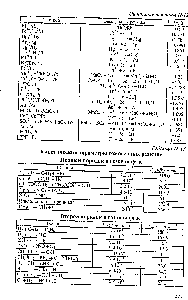 Таблица П-13 Кинетические параметры гомогенных реакций
