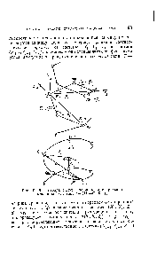 Рис. 10. Два набора систем координат в <a href="/info/145462">спиральной макромолекуле</a> типа (—СНа— HR—) .